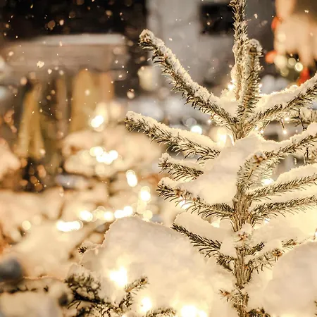 فندق Kristall - Adults Only